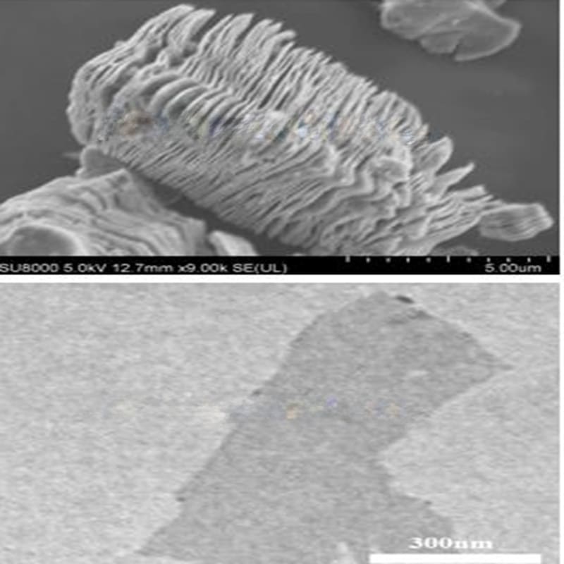 tinbctx mxene phase powder sem