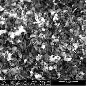 Boron Carbide Powder SEM-2