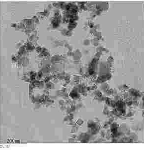 Boron Carbide Powder SEM-1