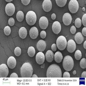 Boron Carbide Spherical Powder SEM-2