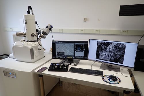 scanning electron microscopy sem hm